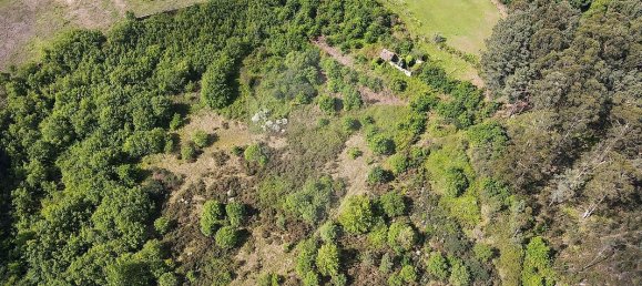 9 chambres Maison à Marco de Canaveses, Portugal No. 45251 5