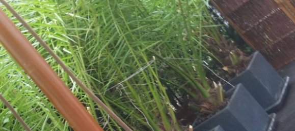 1 chambre Appartement à Darmstadt, Germany No. 34892 24