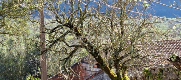 Land in Mira de Aire, Portugal No. 85192 10