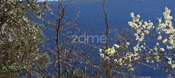 Land in Mira de Aire, Portugal No. 85192 11