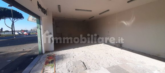 1 room Commercial property in Rome, Italy No. 203030 15