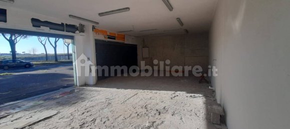 1 room Commercial property in Rome, Italy No. 203030 14