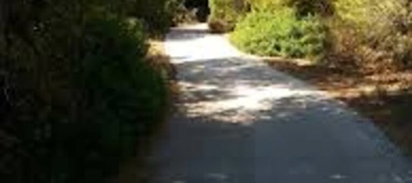 4 bedrooms Apartment in Rafina, Greece No. 96820 12