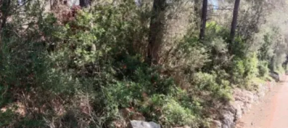  Land in Mallorca, Spain No. 172124 5