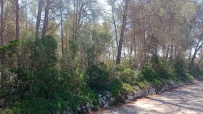  Land in Mallorca, Spain No. 172124