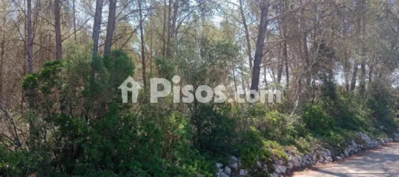  Land in Mallorca, Spain No. 172124 4