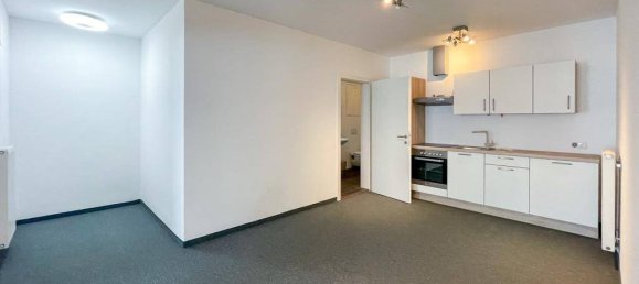 2-salle Propriété commerciale à Linz, Austria No. 219146 4