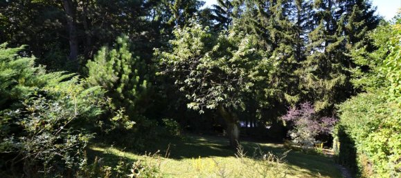 Grundstück in Penzing, Austria, Nr. 252666 2