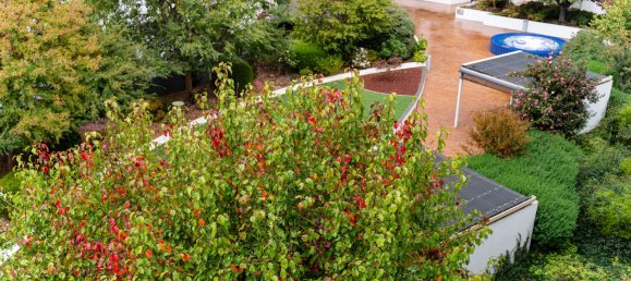 1 bedroom Apartment in Phillip, Australia No. 726 12