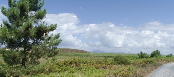 3 Schlafzimmer Villa in Alcacer do Sal, Portugal, Nr. 140131 11