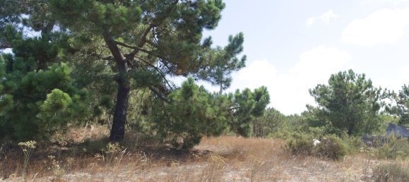 3 Schlafzimmer Villa in Alcacer do Sal, Portugal, Nr. 140131 12