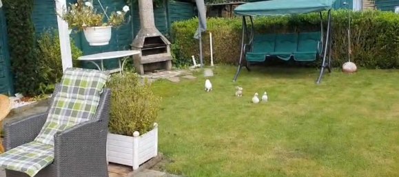  Land in Altona, Germany No. 328466 6