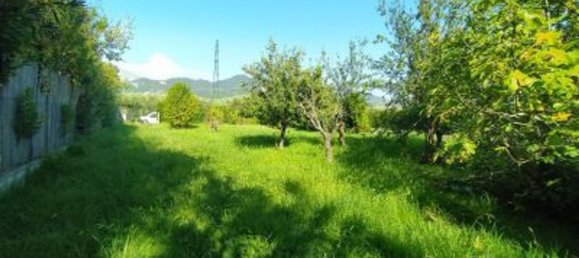 Terrain à Forte dei Marmi, Italy 5000m² No. 120865 4