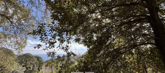 Земельный участок в Бастия, Франция № 91365 2