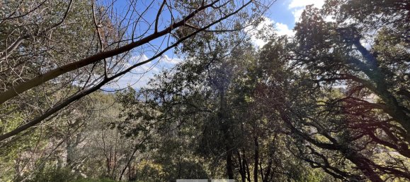 Земельный участок в Бастия, Франция № 91365 3