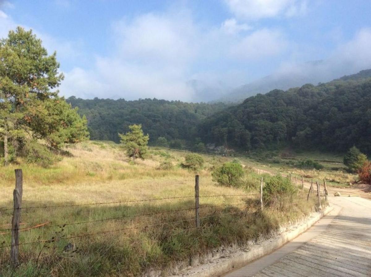 terreno en venta en Mexico № 205186