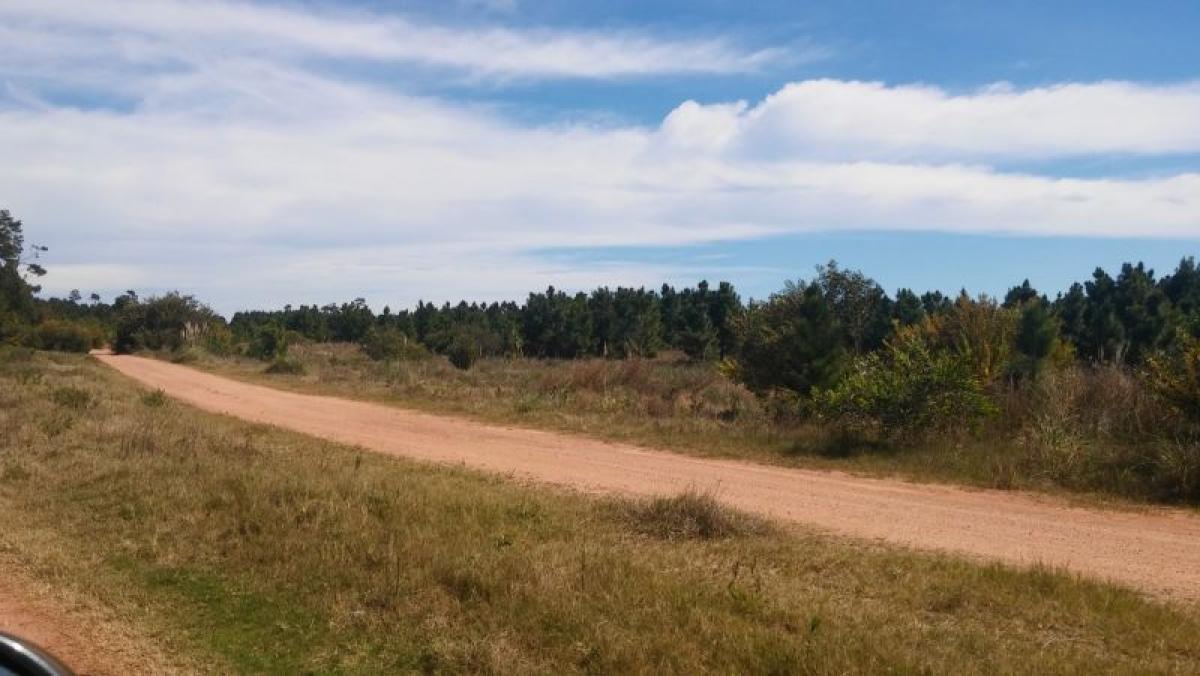  Land in Rocha, Uruguay No. 15675