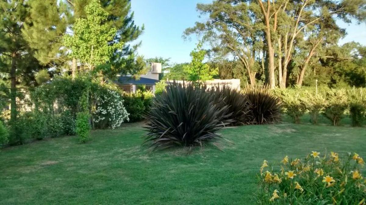 Studio in Buenos Aires, Argentina No. 88580