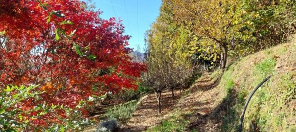 3 rooms House in Stazzema, Italy No. 234160 9