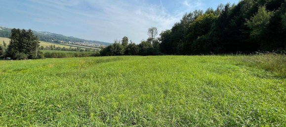 Grundstück in Weiz, Austria, Nr. 236205 4