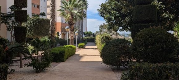 2 chambres Maison à Guardamar del Segura, Spain No. 178314 29