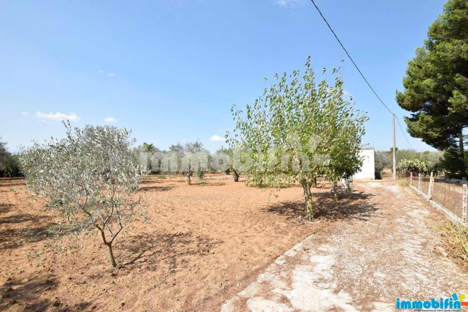 4000m² Land in Oria, Italy No. 29450