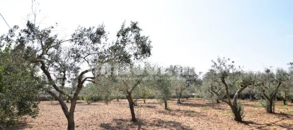 4000m² Land in Oria, Italy No. 29450 3
