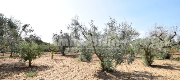 4000m² Land in Oria, Italy No. 29450 5