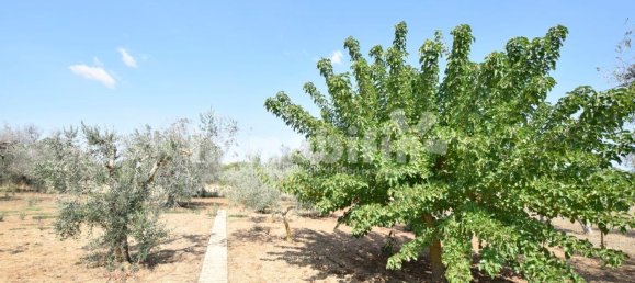 4000m² Land in Oria, Italy No. 29450 6