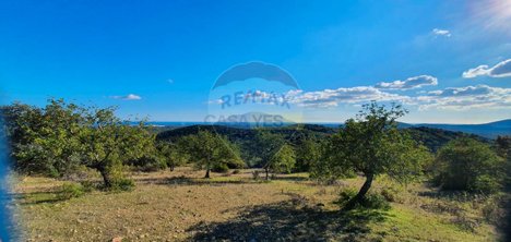 2 bedrooms House in Santa Catarina da Fonte do Bispo, Portugal No. 67737