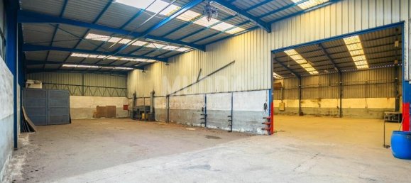 Lagerhaus in Albergaria a Velha, Portugal 960m², Nr. 215445 14