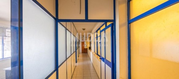 Lagerhaus in Albergaria a Velha, Portugal 960m², Nr. 215445 25