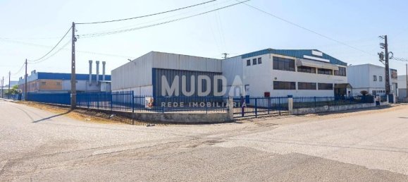 Lagerhaus in Albergaria a Velha, Portugal 960m², Nr. 215445 2