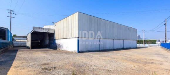 Lagerhaus in Albergaria a Velha, Portugal 960m², Nr. 215445 6