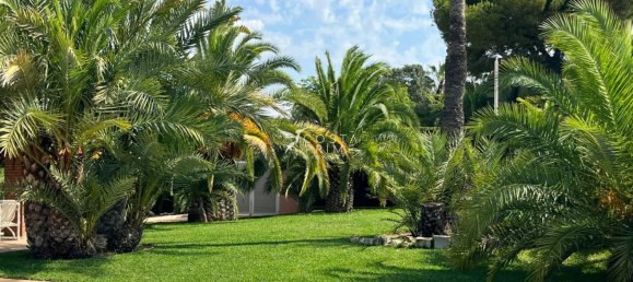 Casa T7 em Benidorm, Spain N.º 54681 33