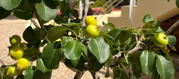 Casa T7 em Benidorm, Spain N.º 54681 35