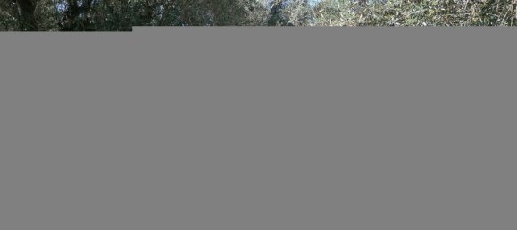 323m² Land in Loures, Portugal No. 69686 6