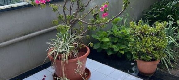 3 bedrooms Apartment in Chiavari, Italy No. 374647 3