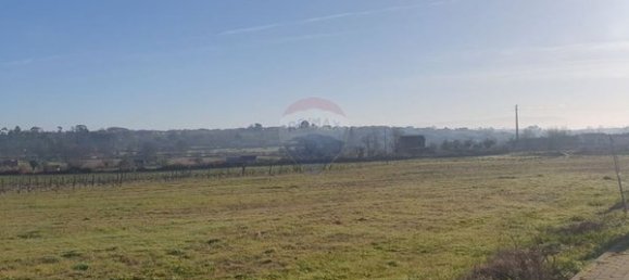 قطعة أرض في Tondela, Portugal 990متر مربع رقم 51618 6