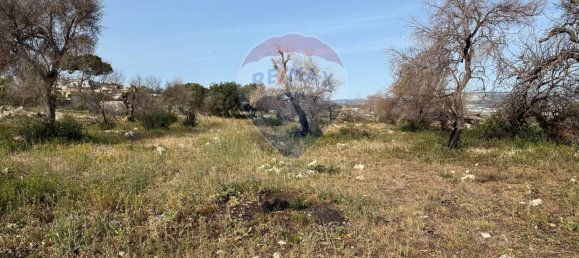 قطعة أرض في Syracuse, Italy 5700متر مربع رقم 248009 11