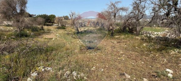  قطعة أرض في Syracuse, Italy 5700متر مربع رقم 248009 21