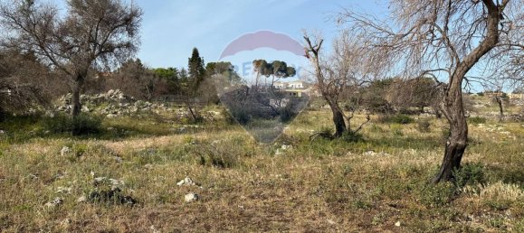  قطعة أرض في Syracuse, Italy 5700متر مربع رقم 248009 10