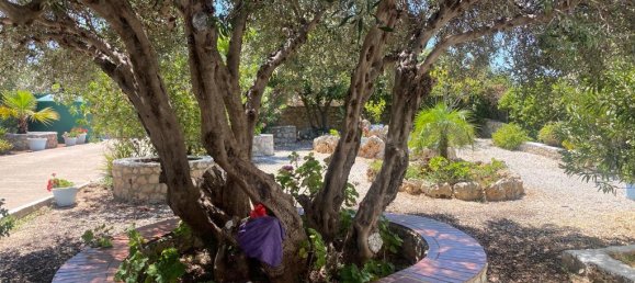 3 Schlafzimmer Villa in Vamos, Greece, Nr. 3029 17