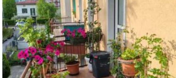 2 rooms Apartment in Seriate, Italy No. 257675 5