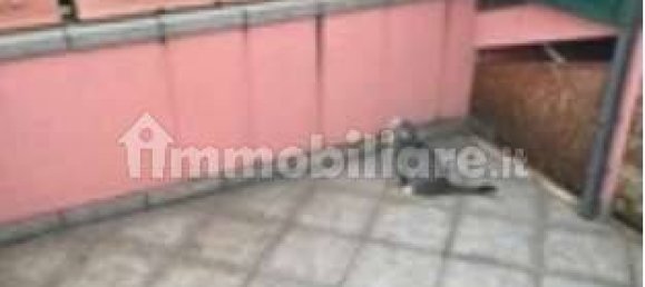 2 Schlafzimmer Haus in Vigasio, Italy, Nr. 265249 4