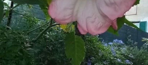 5 rooms Villa in Carrara, Italy No. 50914 24