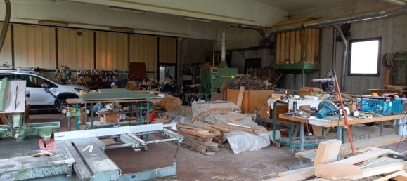 4-Zimmer Gewerbliche Immobilie in Udine, Italy, Nr. 133333 8