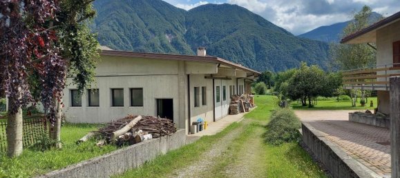 4-Zimmer Gewerbliche Immobilie in Udine, Italy, Nr. 133333 2