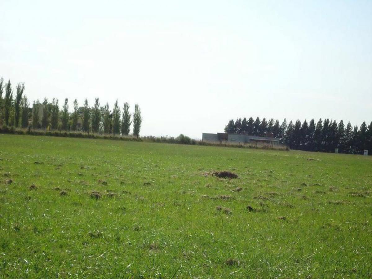  Land in Lujan, Argentina No. 33804