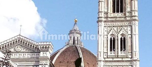 3-Zimmer Gewerbliche Immobilie in Florence, Italy, Nr. 210093 4